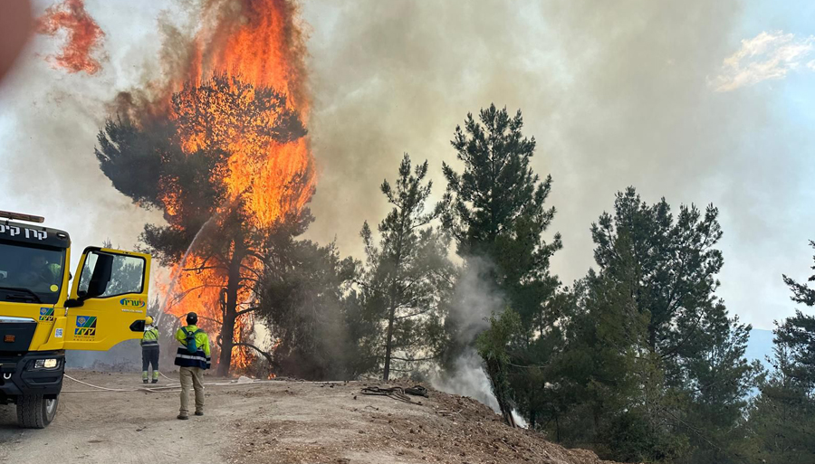 A wildfire in Israel's north. A wildfire in Israel's north.