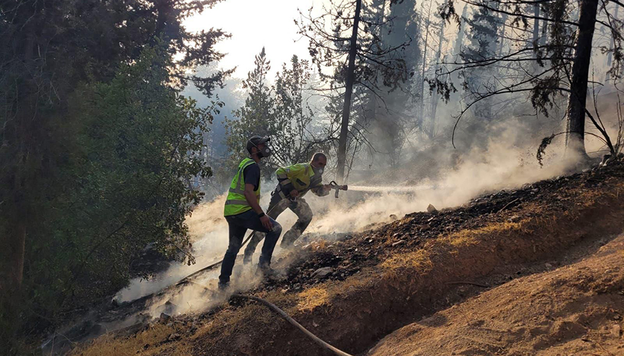 A wildfire in Israel's north. A wildfire in Israel's north.